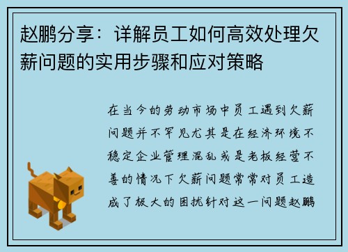 赵鹏分享：详解员工如何高效处理欠薪问题的实用步骤和应对策略