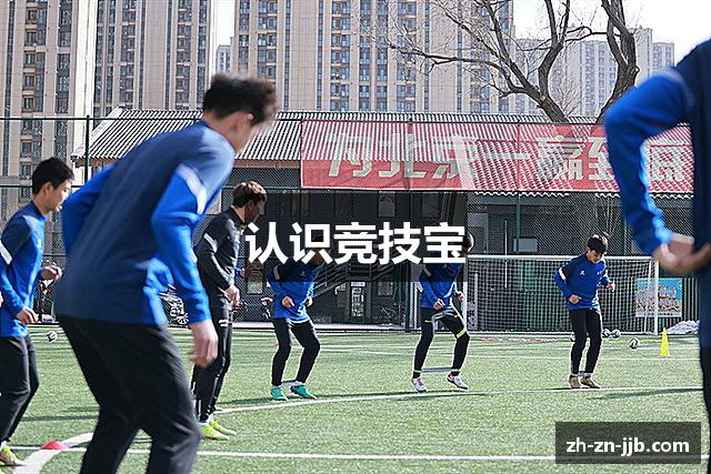 认识竞技宝